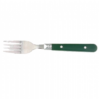 Green Sensation Dinner Flatware